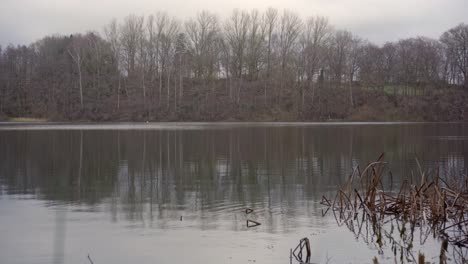 Ruhige-Dezemberszene:-Blick-Auf-Einen-Ruhigen-See-In-Erdigen-Wintertönen