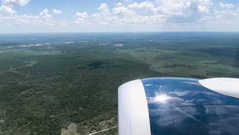 shot-of-airplane-landing-in-Yucatan-forest-in-Mexico