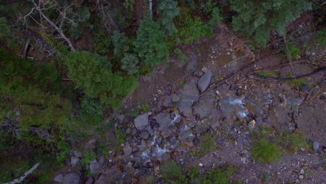 Von-Oben-Nach-Unten-Schauende-Drohne-Schoss-über-Einen-Fließenden-Bach-Und-Grüne-Bäume