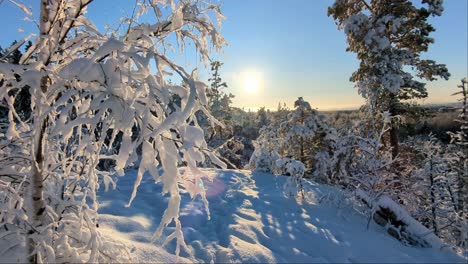 Epic-winter-wonderland,-snow-covered-trees-at-forest-peak,-backlight