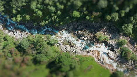 Forest-covered-plains-divided-by-the-deep-rocky-canyon-with-a-shallow-mountain-river