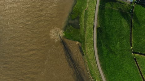 Aerial-rising-birdseye-view-of-a-tree-flooded-by-the-Lek-River-after-it-overran-its-banks-after-heavy-rains-hit-Northern-Europe