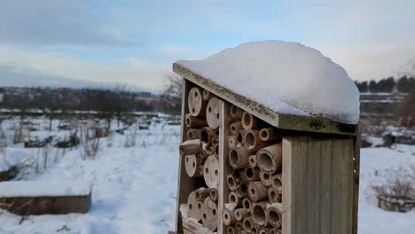 Bug-hotel-in-snowy-winter-day,-insects-hibernating,-winter-gardening