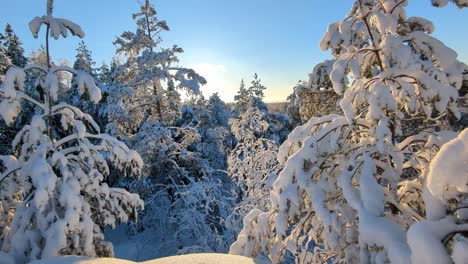 Snowy-winter-wonderland-in-backlight,-rising-shot,-Finland