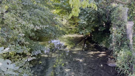 Kleiner-Flacher-Fluss-In-Einem-Wald,-In-Dem-Die-Sonne-Durch-Die-Blätter-Der-Bäume-Schimmert