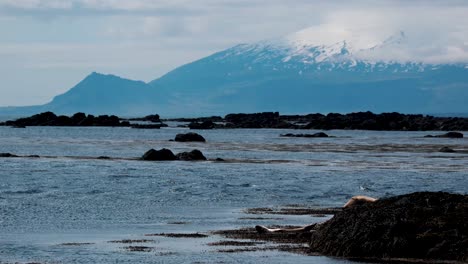Estratovolcán-Cubierto-De-Glaciar-Snaefelsnesjokull-Desde-La-Playa-De-Ytri-Tunga-En-Verano-En-El-Oeste-De-Islandia