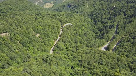 Paraglider-flying-over-forest