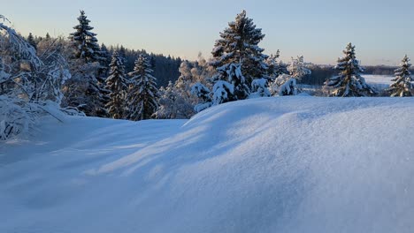 Nieve-Prístina-En-Un-Mágico-Bosque-Invernal-Con-árboles-Nevados,-Paisaje-Invernal