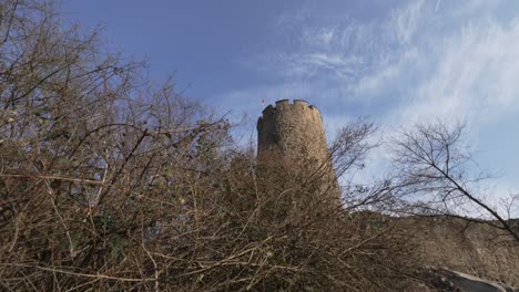 Ruina-De-La-Torre-Del-Castillo-Vista-Detrás-De-Un-Arbusto-De-Plantas-En-Kaysersberg,-Francia