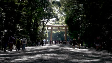 Turistas-Caminando-Por-El-Sendero-Del-Bosque-Con-La-Luz-Del-Sol-Meiji-Jingu-Ichino-Torii-Gate-En-El-Fondo