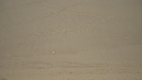 Meereswellen-Gleiten-Ruhig-Durch-Den-Sand-4k-Uhd
