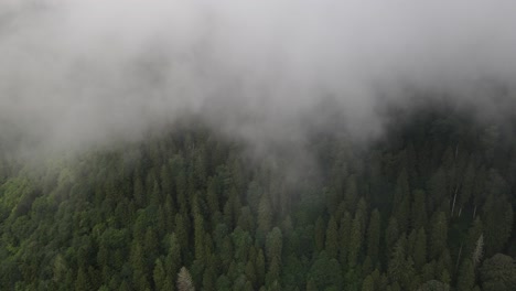 Drone-view-of-foggy-forests-in-the-Black-Sea,-Turkey,-magnificent-view-of-the-mountains