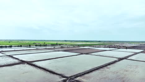 Luftaufnahme-Mehrerer-Mit-Wasser-Gefüllter-Reisfelder-Für-Die-Landwirtschaft-In-Der-Golarchi-Landwirtschaft-In-Sindh,-Pakistan