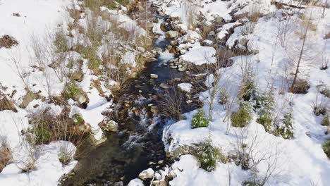 Close-flight-above-wild-small-mountain-river-in-winter-forest-with-green-conifers-trees