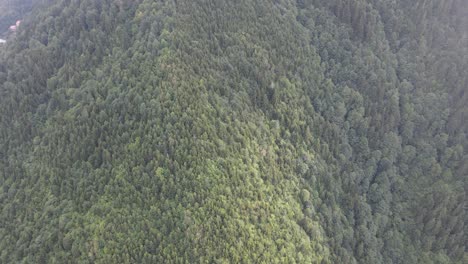 Mountain-landscape-with-dense-forests,-green-and-cloudy-drone-view