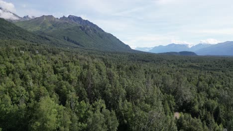 Montañas-Y-árboles.-Paisaje-En-Alaska.-Disparo-De-Drone