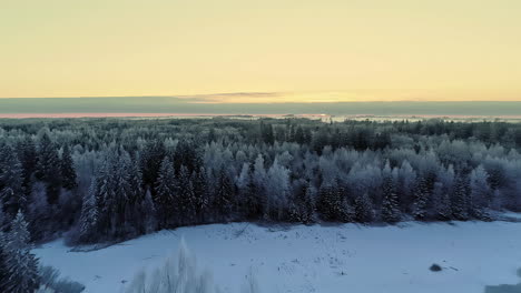 Cold-winter-landscape-and-forest-with-glowing-sunset-sky,-aerial-view