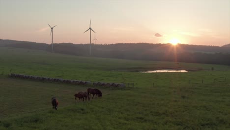 Wind-turbines-with-horses-grazing-in-foreground
