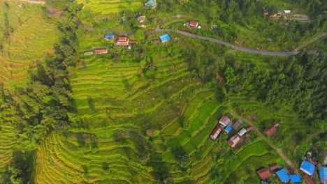 Ascending-top-down-flight-over-green-mountains-with-village-on-exotic-slope-during-Sunny-day---Nepal,Asia