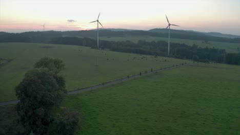 Wind-power-stations-with-cows-around-grazing-on-meadow