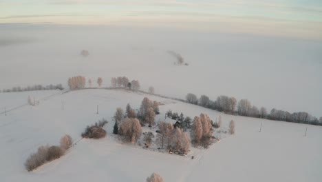 Aerial-winter-golden-hour-view-over-countryside-yard-surrounded-by-trees