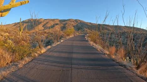 Point-of-view-while-driving-pass-two-bicyclists-in-the-Saguaro-National-Park-in-Sonoran-Desert-in-late-afternoon