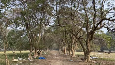 Front-view-shot-of-a-pathway-surrounded-with-trees-and-some-plastic-wastes-thrown-at-a-side-of-it-during-afternoon-in-Kolkata,-India