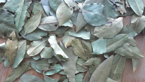 Dry-Laurel-Leaves-Background-Rotation