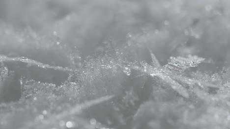 Timelapse-macro-shot-of-melting-ice
