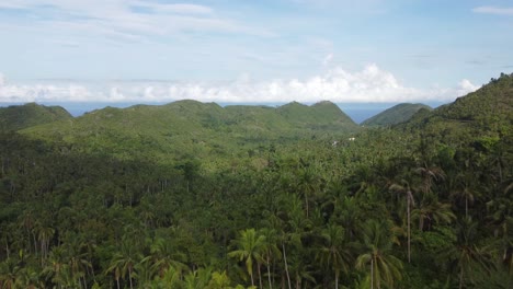 The-philippine-mountains,-palm-trees-and-the-ocean-in-the-backgorund-make-a-spectacular-sight