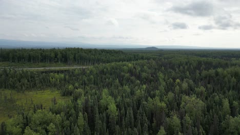 Wald-In-Alaska.-Landschaft-Und-Natur-Pur