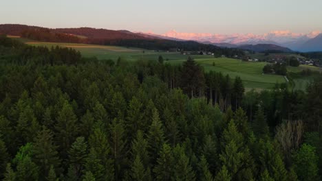 Aerial-of-forest-and-swiss-mountains-at-dusk