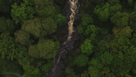 Steigende-Vogelperspektive-Drohnenaufnahme-Des-Mächtigen-Yorkshire-River,-Umgeben-Von-Bäumen-Im-Herbst