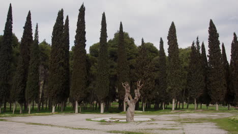 Eine-Reihe-Von-Bäumen-In-Hierapolis