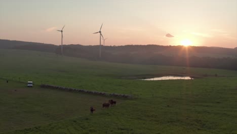 Windkraftanlagen-Mit-Grasenden-Pferden-Im-Vordergrund