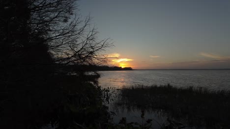 Es-Offenbart-Einen-Ruhigen-Sonnenuntergang-über-Dem-See-Mit-Einem-Silhouettierten-Baum