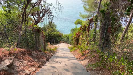 Beautiful-stairs-going-down-to-the-beach-with-big-trees-and-sea-view-in-Cavalière-Lavandou-South-of-France,-magical-green-nature-hike-near-water,-holiday-vacation,-4K-shot
