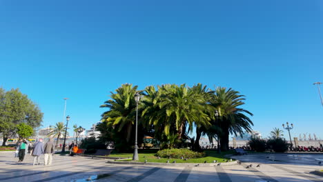 A-sunny-plaza-in-Cádiz,-lined-with-majestic-palm-trees-and-filled-with-people-enjoying-the-day