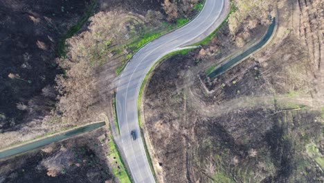 Kurvenreiche-Straße-Durch-Die-Verbrannte-Waldlandschaft-Der-Algarve---Luftaufnahme
