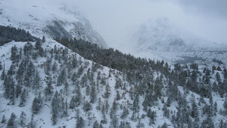 Drohnenaufnahme-Des-Gefrorenen-Wunderlandes-In-Manang-Nepal,-Annapurna-Rennstrecke-Mit-Verschneiter-Landschaft,-Schneebedeckten-Bäumen,-Bergen,-Filmischer-Horror-4k