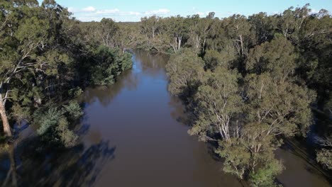 Disparo-De-Un-Dron-Sobre-Los-árboles-Del-Río-Goulburn-Inundado-En-Australia