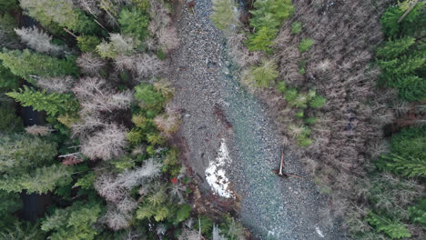 Drohne-über-Fluss-Und-Wald-Im-Pazifischen-Nordwesten-Amerikas