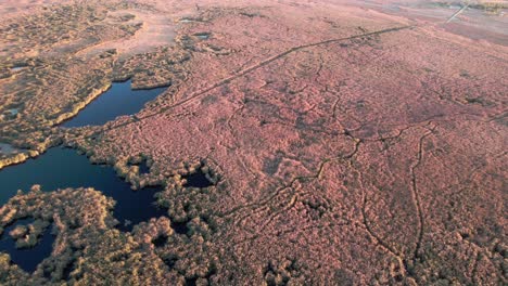Swamps-at-Sultan-Marshes-National-Park-Panning-Towards-Mountains-in-Turkey,-Aerial-Drone