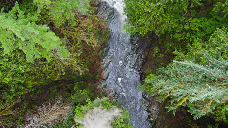 4K-drone-footage-over-river-and-forest-in-the-pacific-northwest