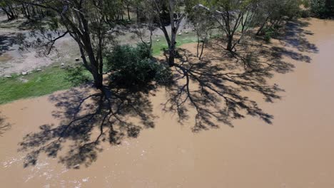 Top-down-of-muddy-Goulburn-river-with-tree-shadows-and-flooded-banks