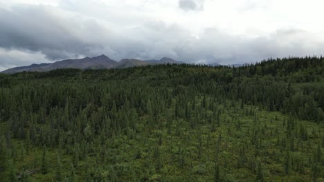 Wunderschöne-Landschaft-Von-Alaska.-Pure-Wildnis-Und-Wälder