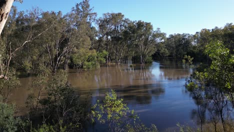 Drohnenschuss-Am-Goulburn-River,-Überschwemmung-In-Victoria