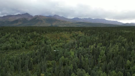 Pure-Wildnis.-Wald-In-Alaska.-Schöne-Landschaft