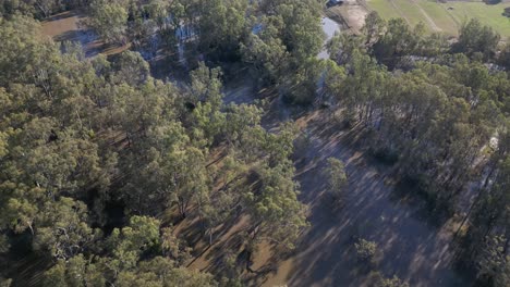Top-down-of-flooded-Goulburn-river-in-Victoria