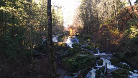 Kleiner-Flusswasserfall-Im-Wald-4K-Video-Im-Pazifischen-Nordwesten-Amerikas